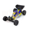 HSP Mongoose Brushless 2WD RTR Buggy