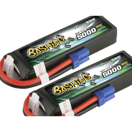 Bashing Combo