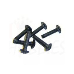 HSP M3*14mm Caphead Screws...