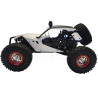 WLToys Storm Buggy Brushed 4WD RTR 1/12