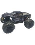Brushed Cars, Monster Trucks, Buggies & Crawlers